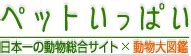 小寵物種類|ペットいっぱい 小動物全種一覧